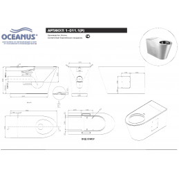 Унитаз напольный антивандальный Oceanus 1-011.1(P/S)