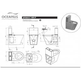 Унитаз-компакт антивандальный Oceanus 1-001 (P/S)