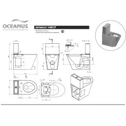 Унитаз-компакт антивандальный Oceanus 1-001.2 (P/S)